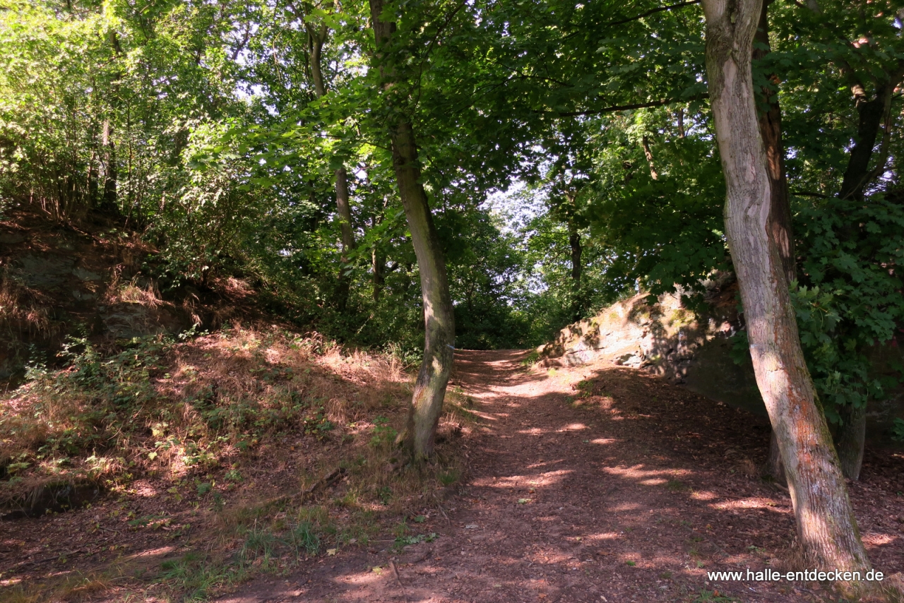 Der Weg zum ehemaligen Steinbruch (Nahe Hochreservoir)