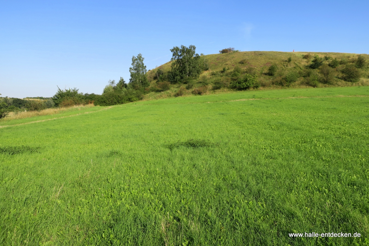 Berg in den Lunzbergen bei Lettin