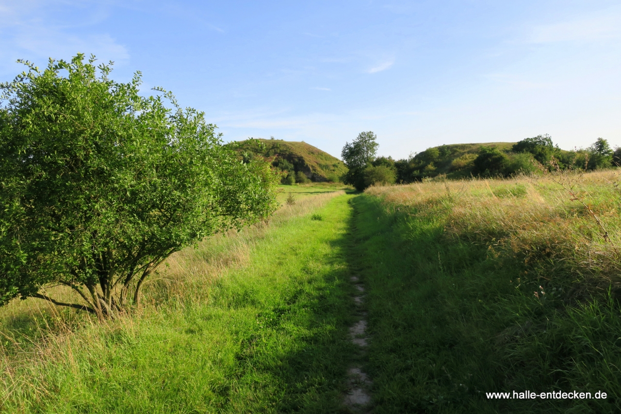 Weg in den Lunzebergen