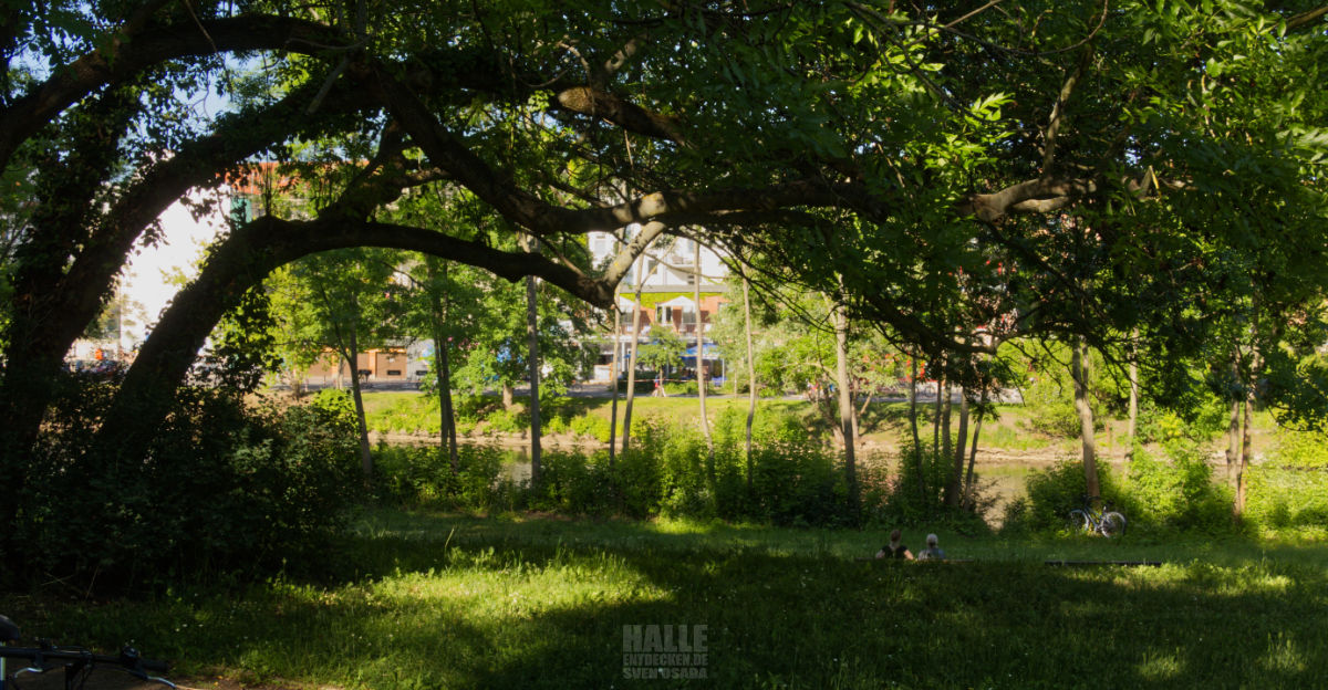 Park an der Saline in Halle (Saale).