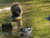 Park an der Saline in Halle (Saale)