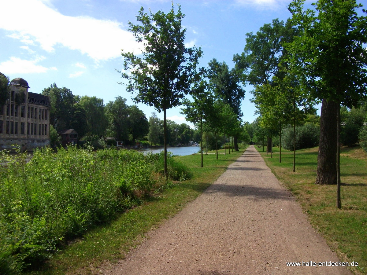 Weg an der Saale, gegenüber der Weingärten vom Holzplatz zu den Pulverweiden