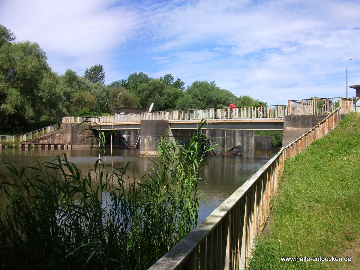 Das Wehr der Elisabeth-Saale - Pulverweiden in Halle