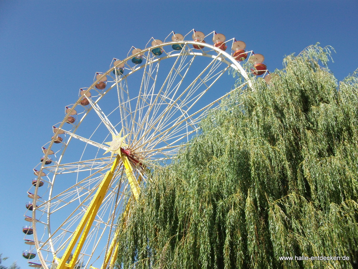 Laternenfest 2016 Halle (Saale) - Ziegelwiese