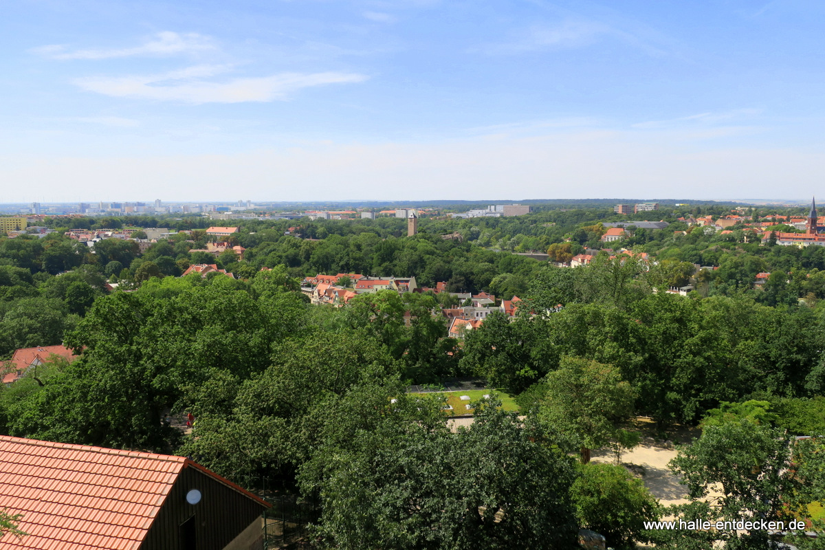 Blick vom Aussichtsturm im Zoo Halle zur Burg Giebichenstein