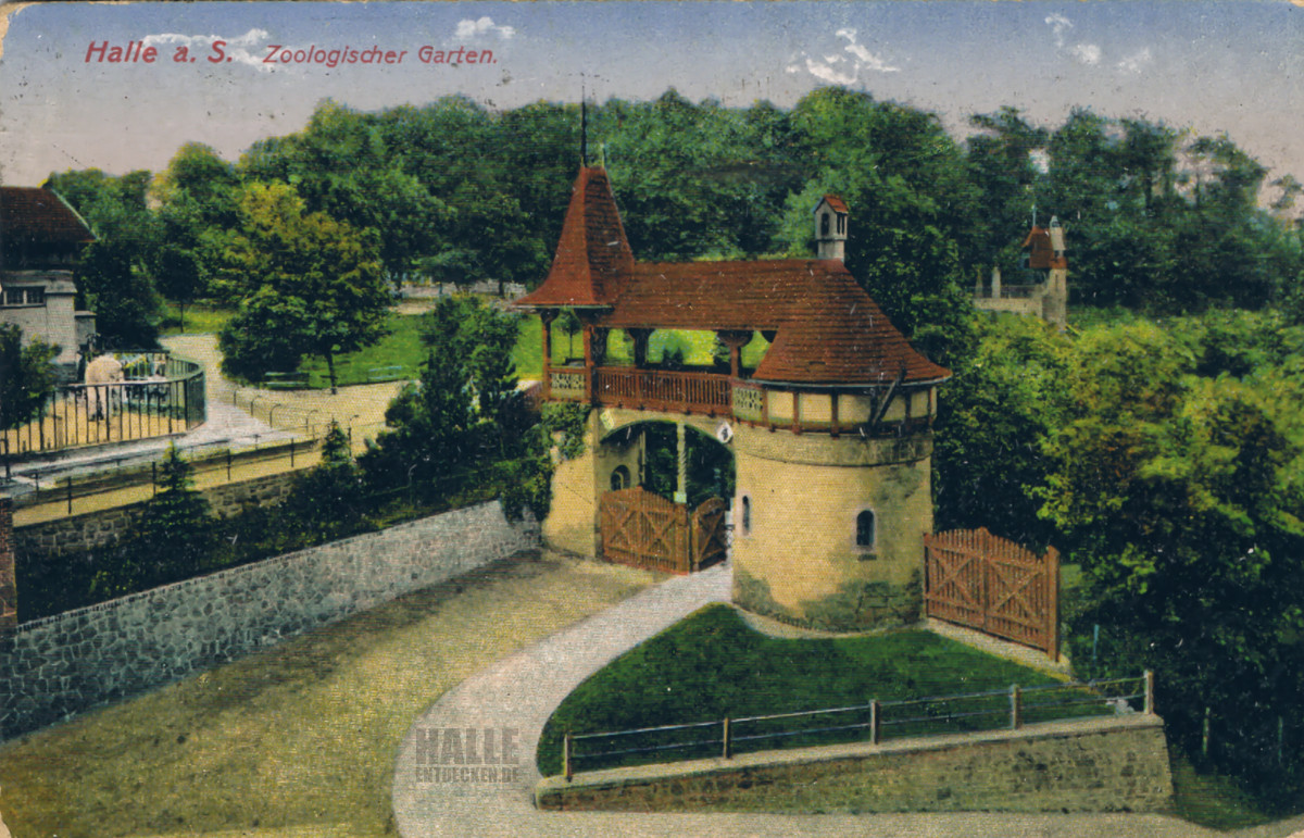 Historische Ansichtskarte vom Zoo Halle - 1917
