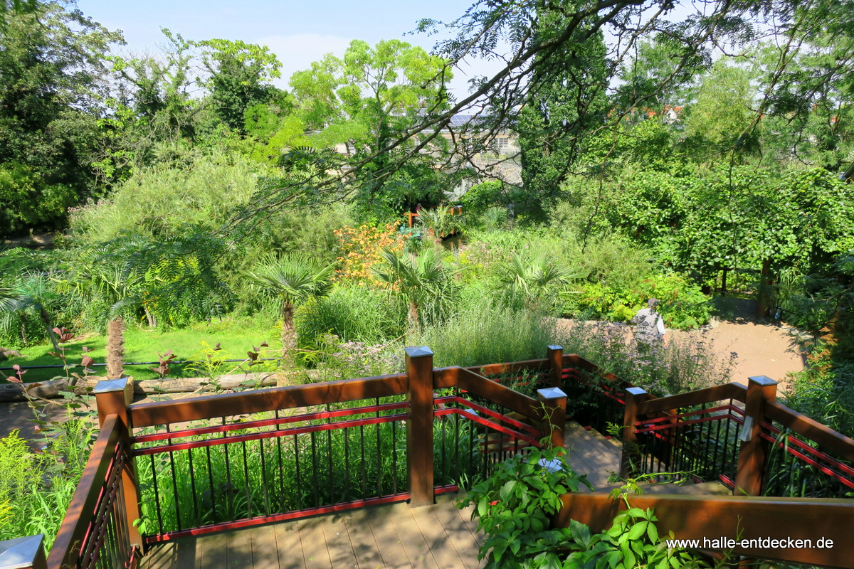 Vegetation im Zoo Halle