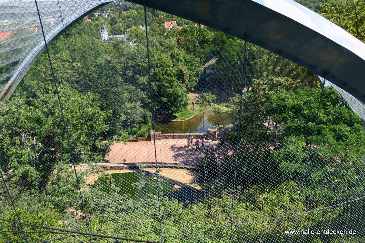 Blick vom Aussichtsturm ins Vogelhaus