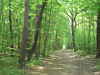 Dölauer Heide in Halle (Saale)