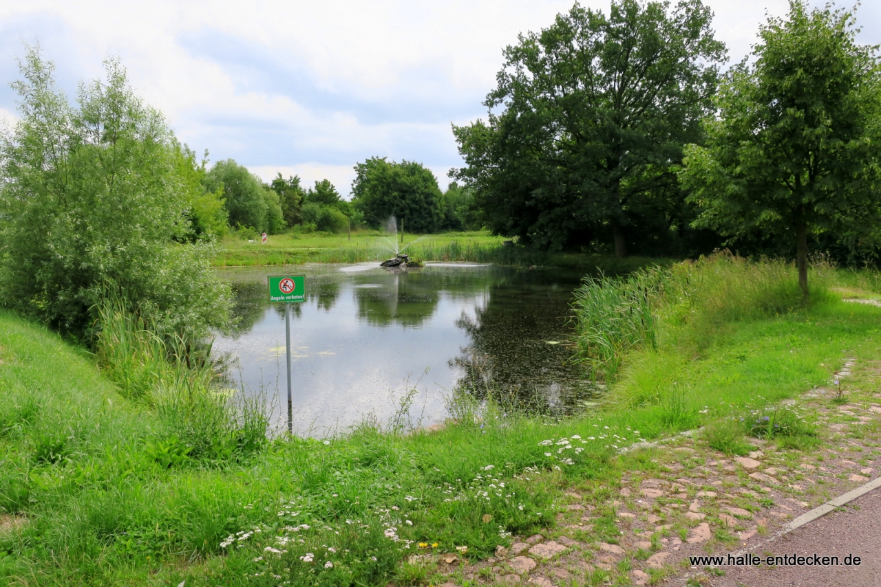 Der Dorfteich in Angersdorf