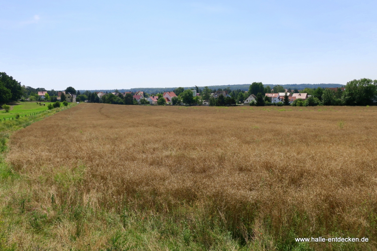 Blick über Lieskau in Richtung der Heidepension