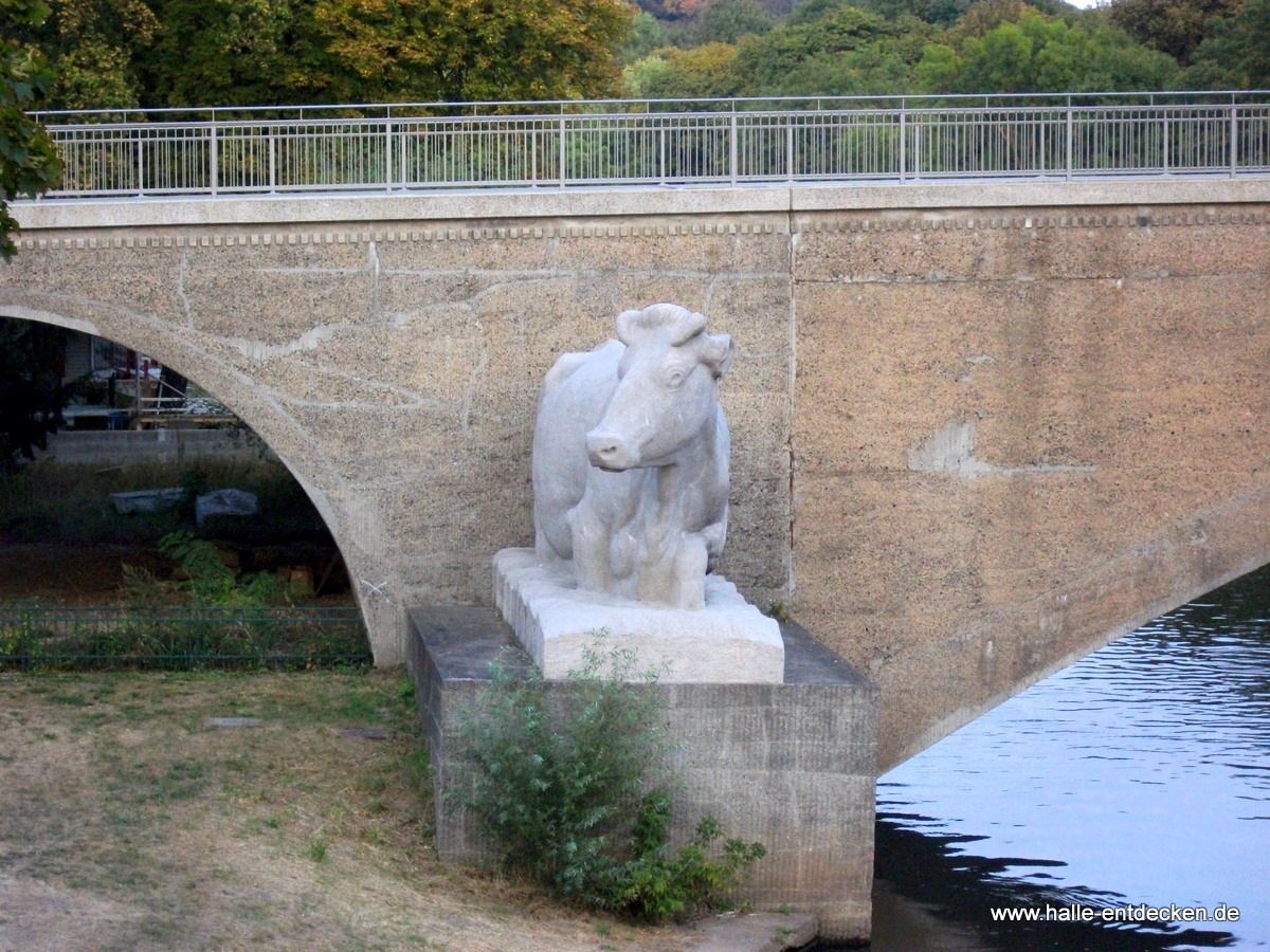 Kuh (Kröllwitz) Giebichensteinbrücke Halle (Saale)