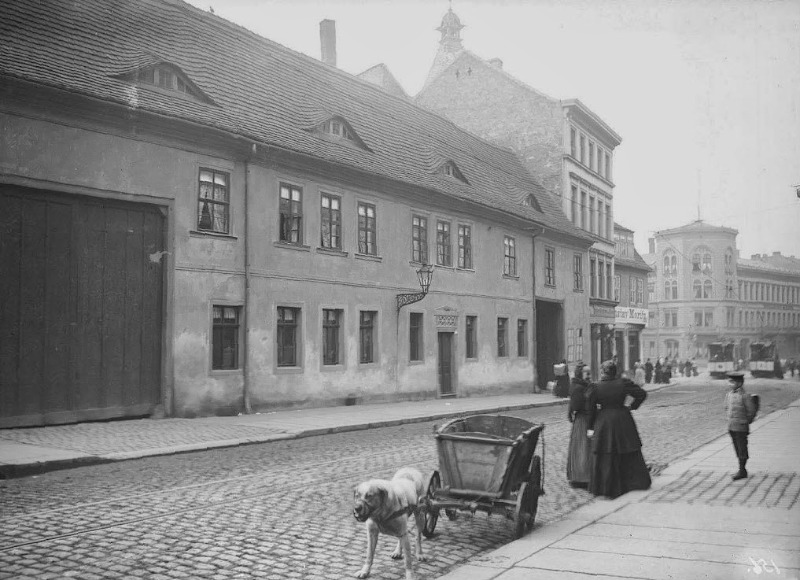 Die Große Steinstraße mit Blick zum Joliot-Curie-Platz und zum Hansering. Fotografiert von Gottfried Riehm.