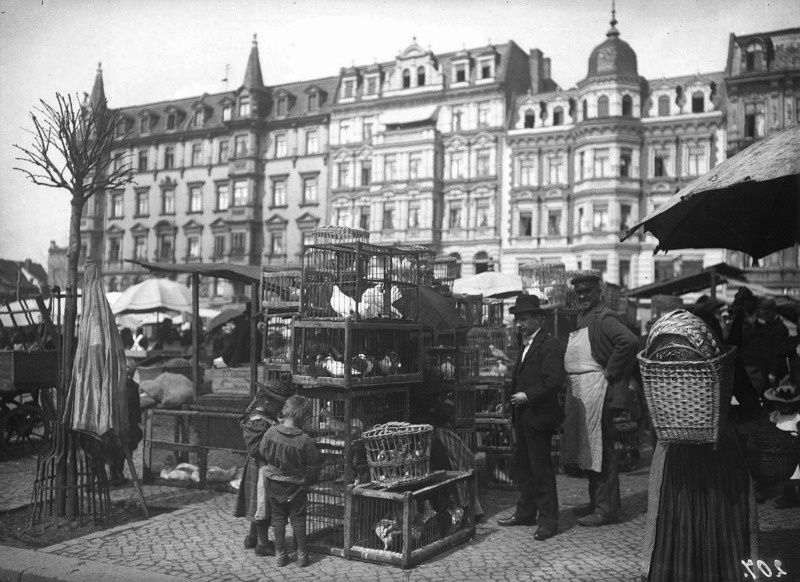 Wochenmarkt auf dem Hallmarkt in Halle.