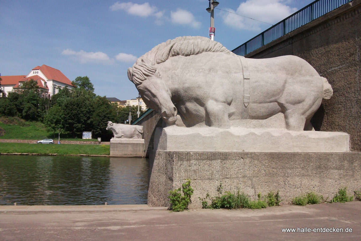 Pferd an der Giebichensteinbrücke, Riveufer Halle (Saale)