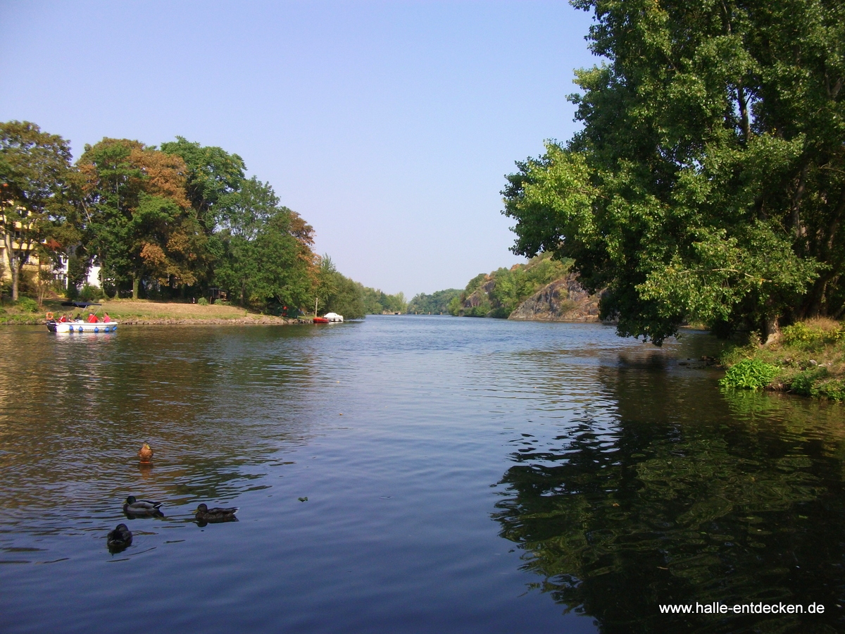 Blick auf die Saale, vom Riveufer in Halle (Saale)