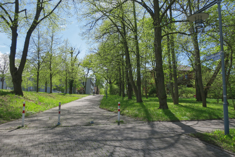 Der Ernst-Grünfeld-Weg im Stadtteil Heide-Süd in Halle an der Saale.