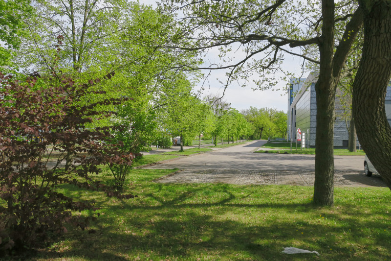 Blick zur Heinrich-Damerow-Straße vom Ernst-Gründfeld-Weg.
