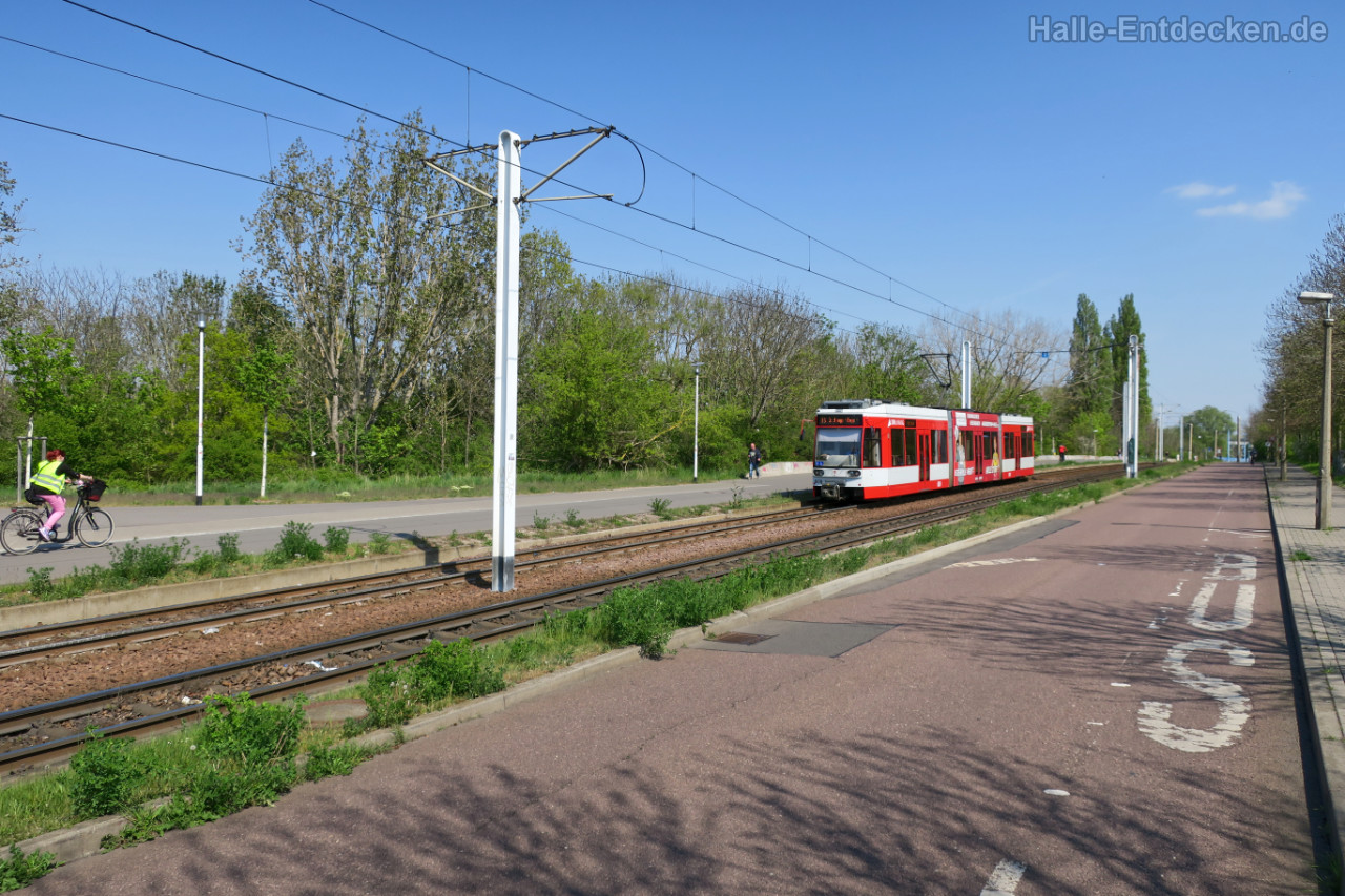 Die Mansfelder Straße am Sandanger mit Blick in Richtung Innenstadt.