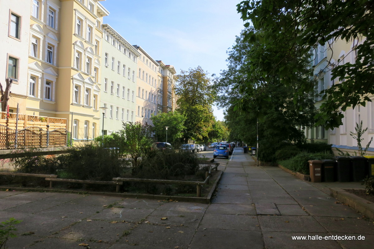 Die Schwetschkestraße in der Südlichen Innenstadt von Halle (Saale)