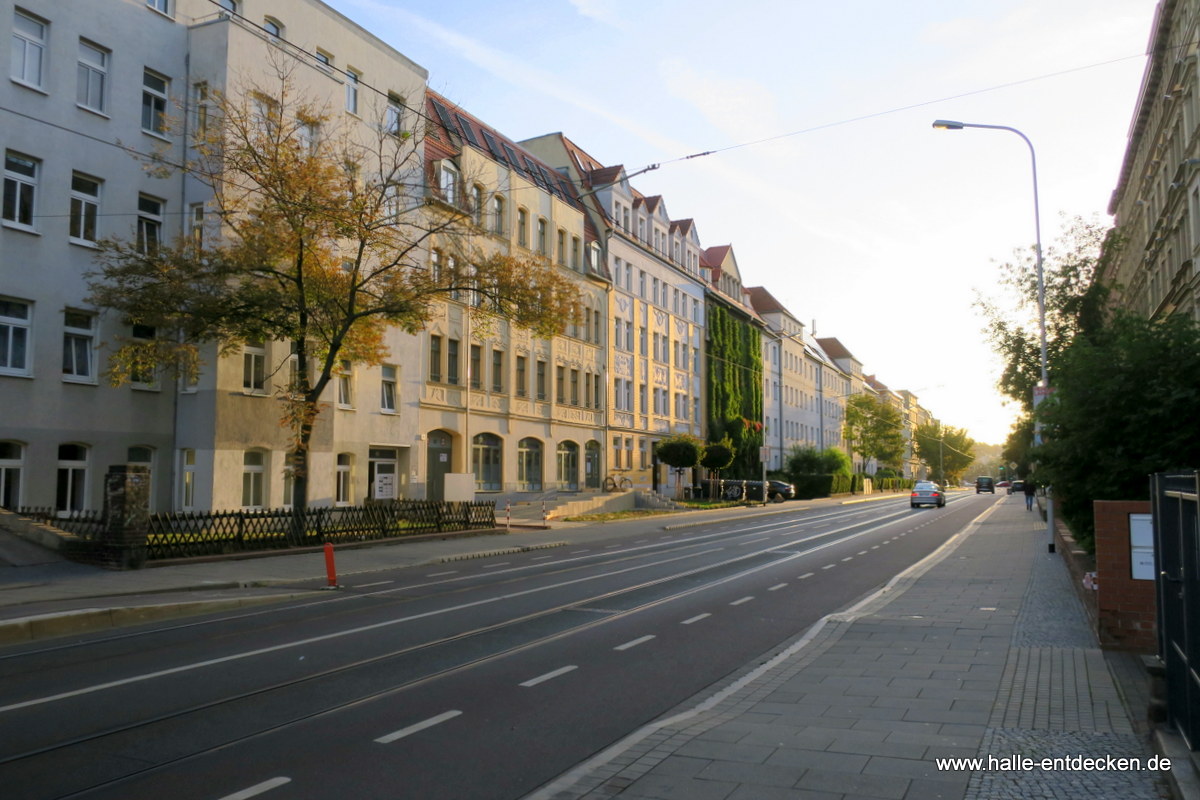 Torstraße mit Blick in Richtung Rannischen Platz in Halle (Saale).