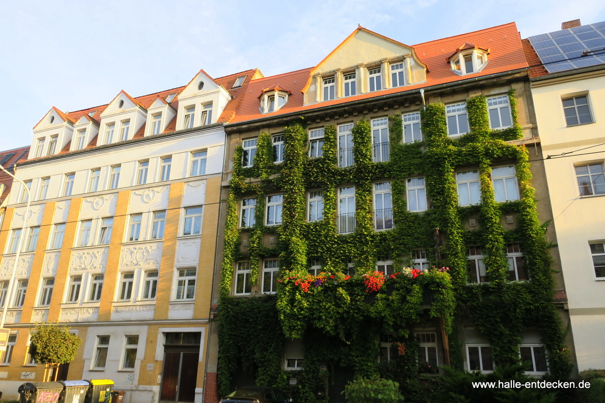 Häuser in der Torstraße in Halle (Saale).