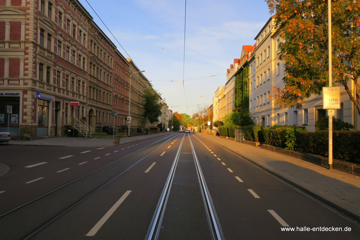 Westseite der Torstraße in Halle (Saale).