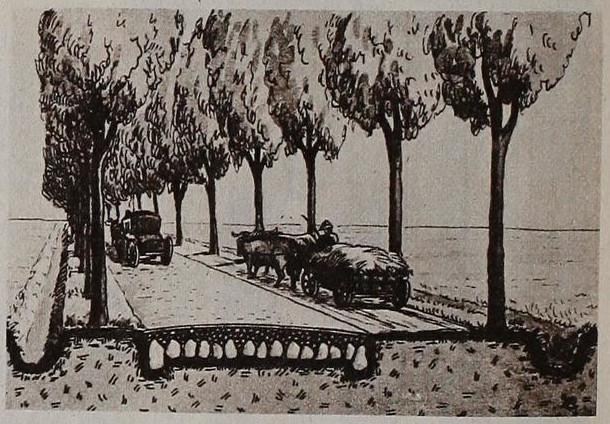 Darstellung eines Sommerwegs an einer Chaussee. In Illustrierte Hallische Nachrichten vom 22. Juli 1933